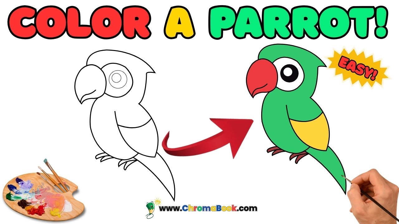 Parrot Drawing, Painting, Coloring for Kids, Toddlers and Adults – Fun and Relaxing | Learn Animals