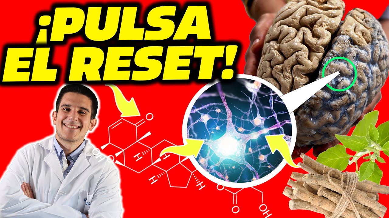 ASHWAGANDHA: El MEJOR SUPLEMENTO contra el ESTRÉS🧠 Cómo Usarlo para *Máximos BENEFICIOS*