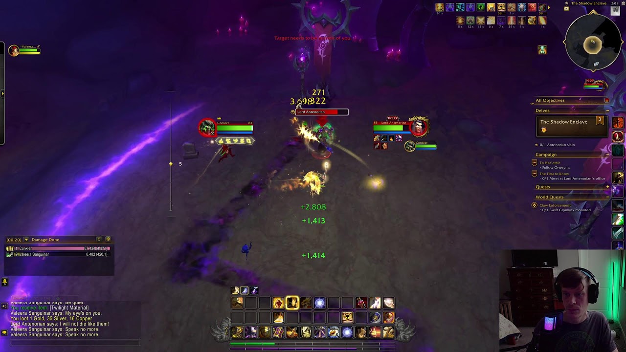 Midnight & Chill | Paladin Leveling and Pet Battling
