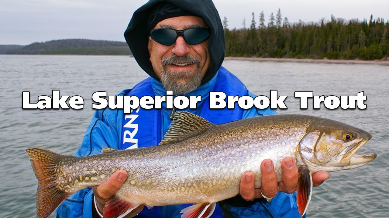 Lake Superior Brook Trout and Steelhead | Fish'n Canada