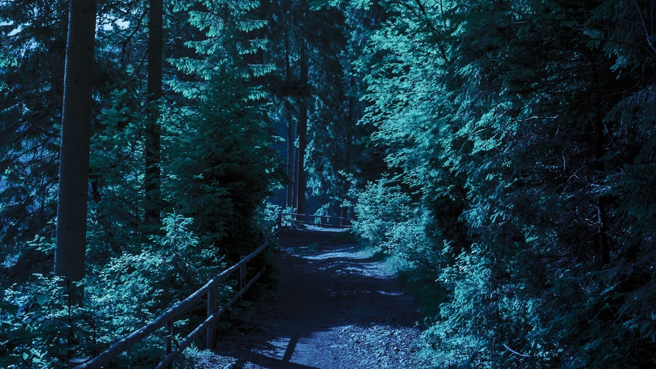 8 Hours Sleep Sound • Peaceful Night Ambience for Deep Sleep, Calm Mind & Relaxation