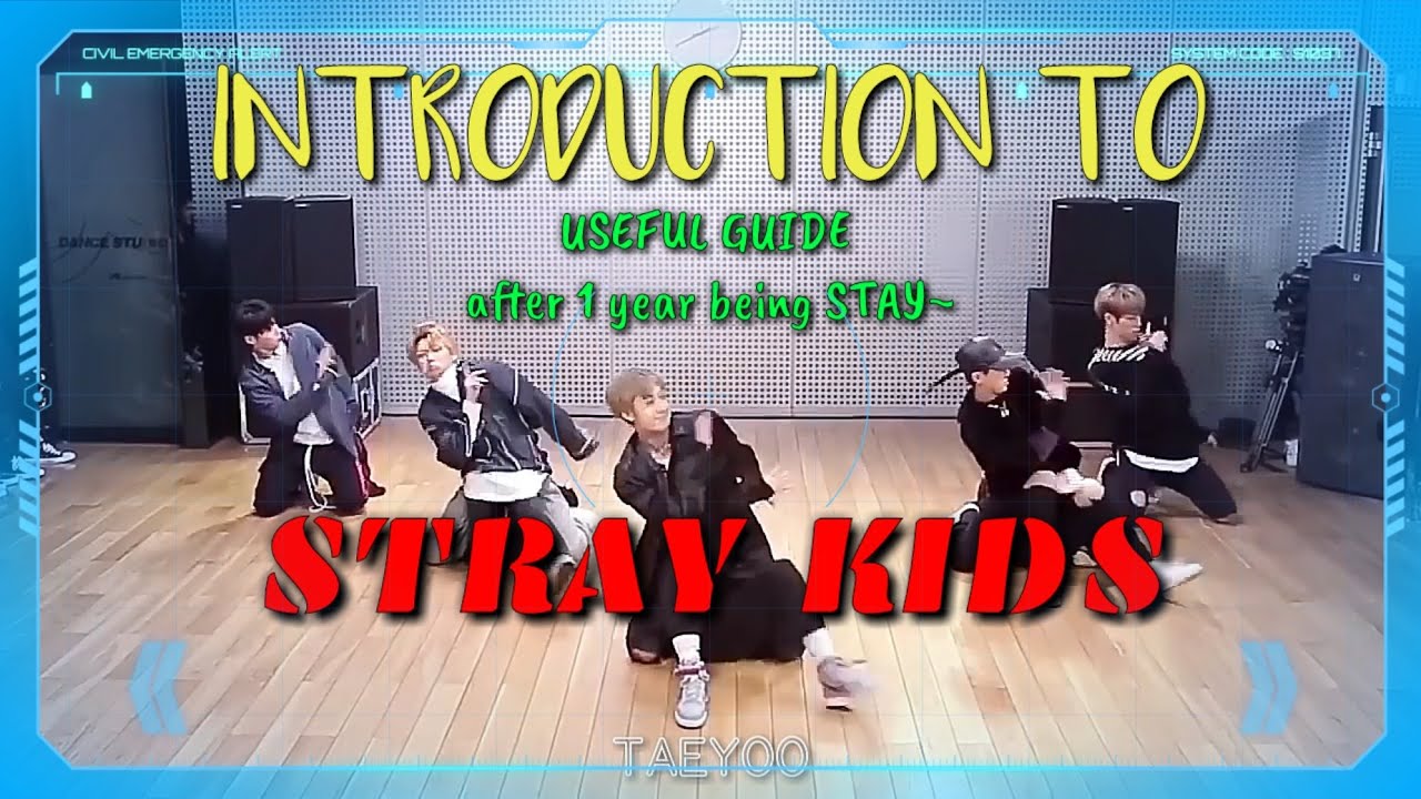 INTRODUCTION to STRAY KIDS | Guide from ~STAY~