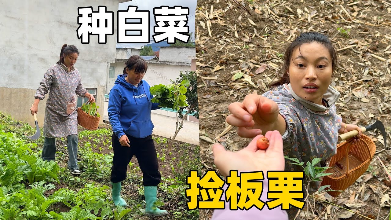 自从失业后，特别享受在农村自给自足的田园生活，地里山间全是宝，不用与家人分离，虽然不富裕但却很知足