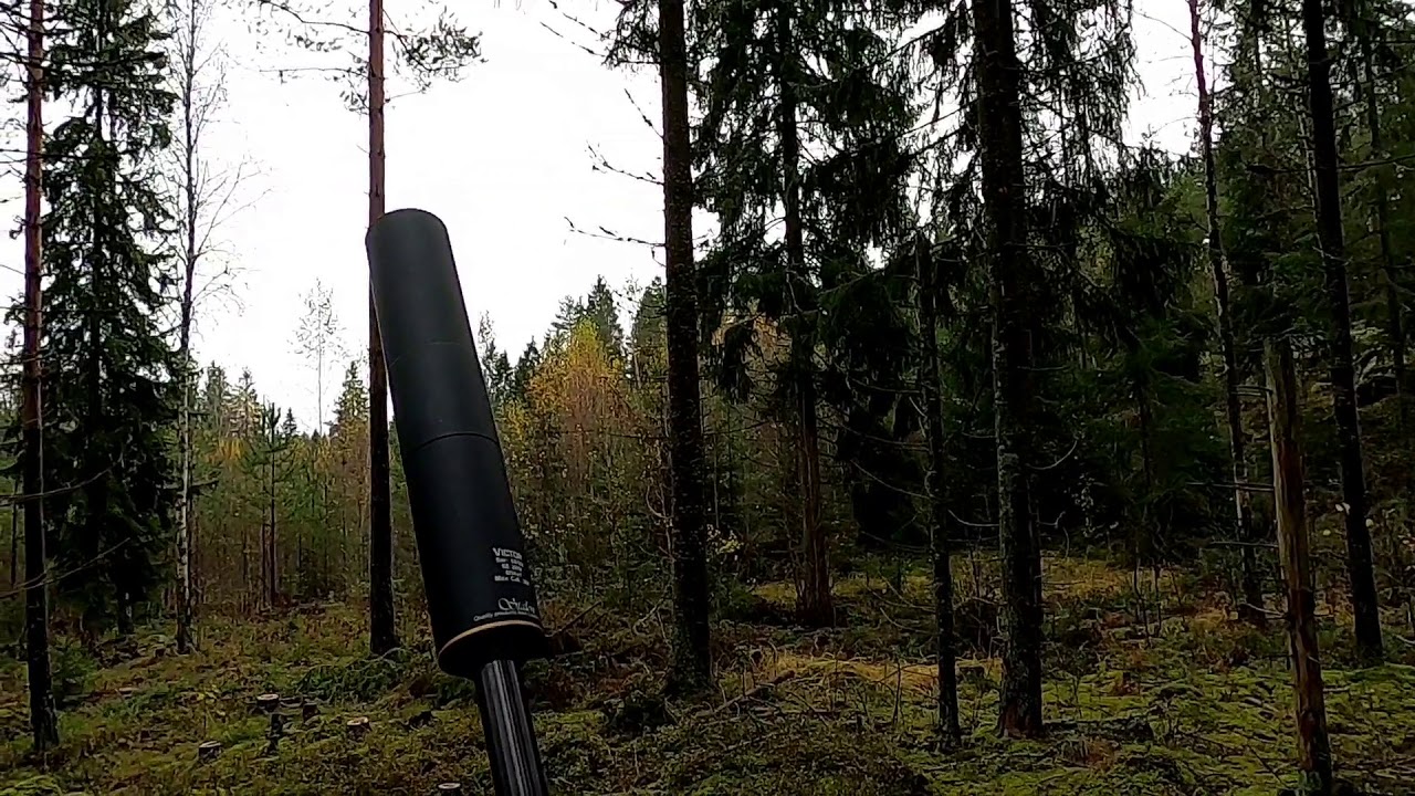 Peuran ajojahtia 24.10.2020