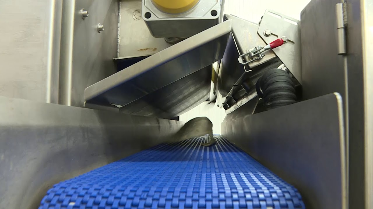 Productieproces van tortillas bij Poco Loco in Roeselare