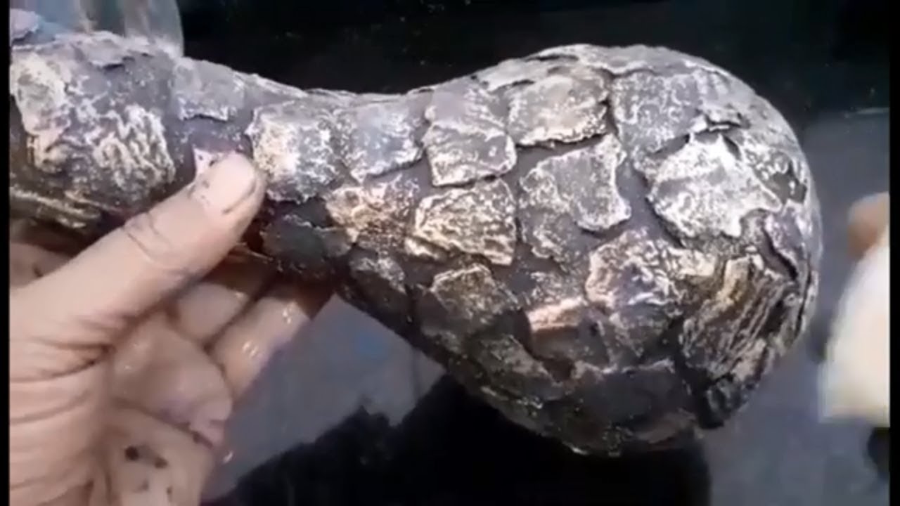 Como fazer customização de vaso técnica pedra balão
