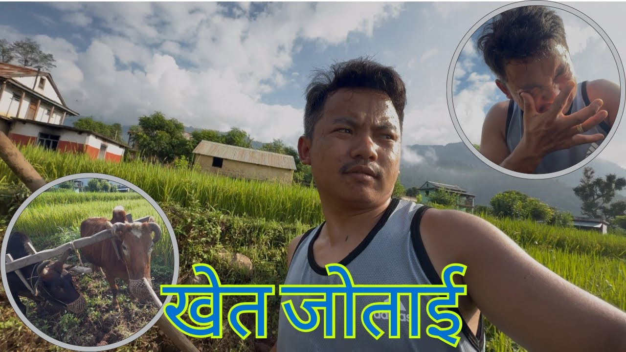 धेरै समय पछि खेत जोतियो ?बिदेश गएर नी नभएसी गर्यो CHANGU ले गॅंाउमै यस्तो?? 