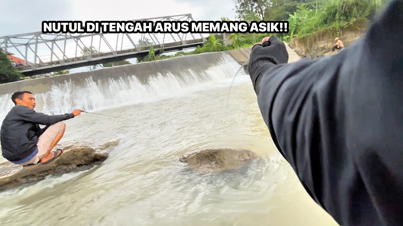NUTUL DI TENGAH ARUS MEMANG ASIK!! Mancing Nilem Dengan Teknik Nutul Menggunakan Tegek Micro