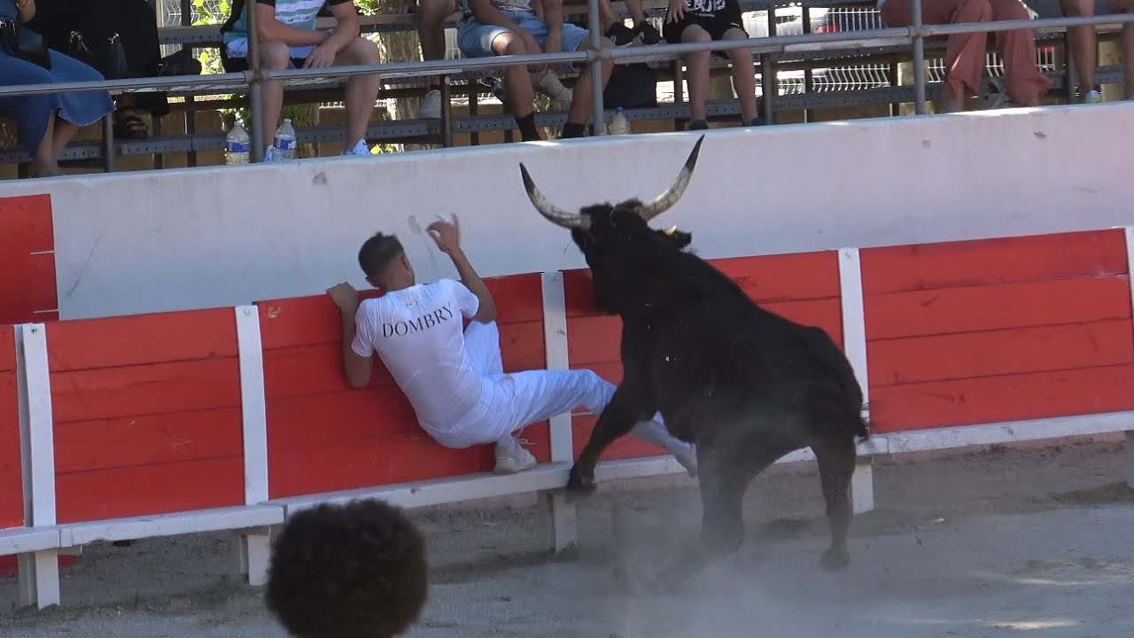 NOVES COURSE DE LIGUE 30.05.2025