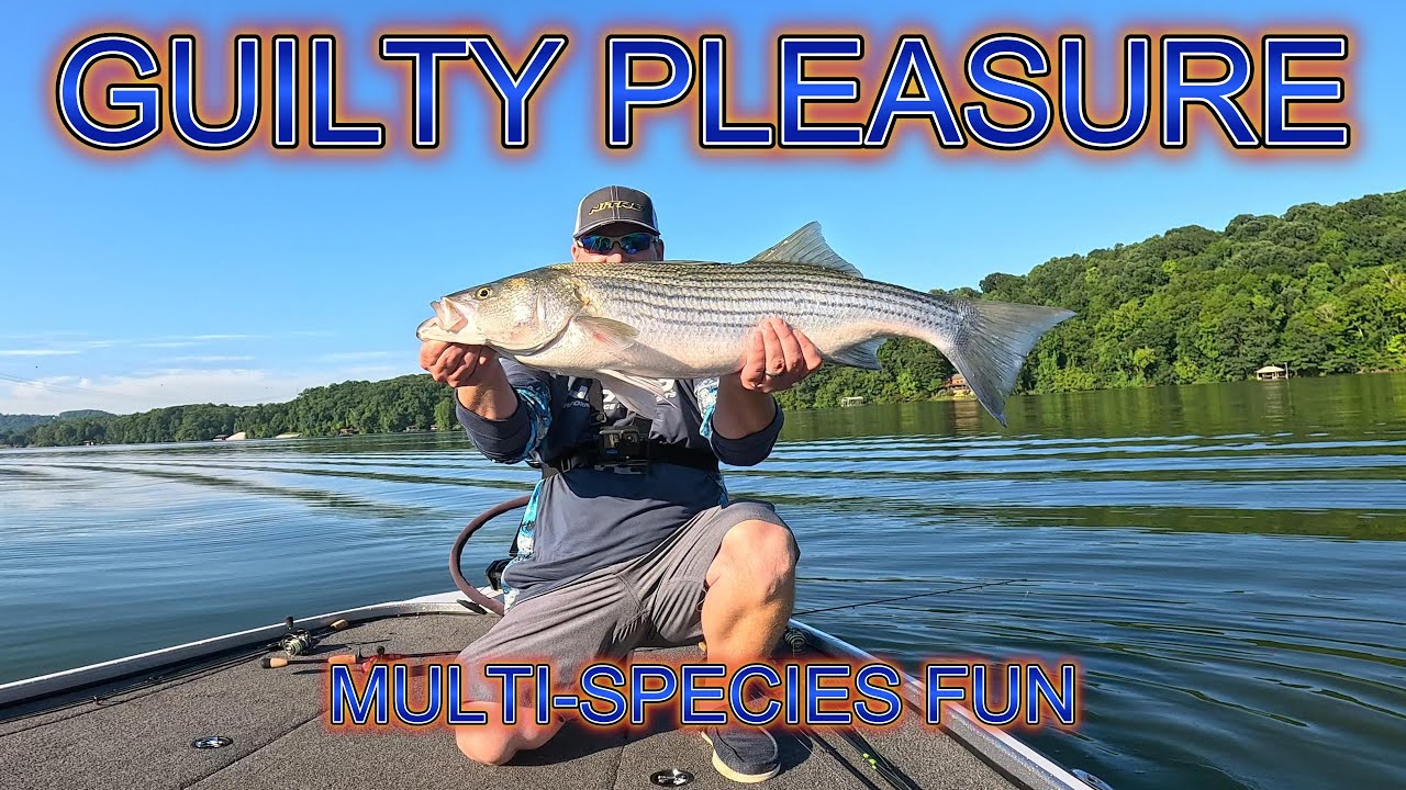 Watts Bar Lake Fishing July 3, 2025