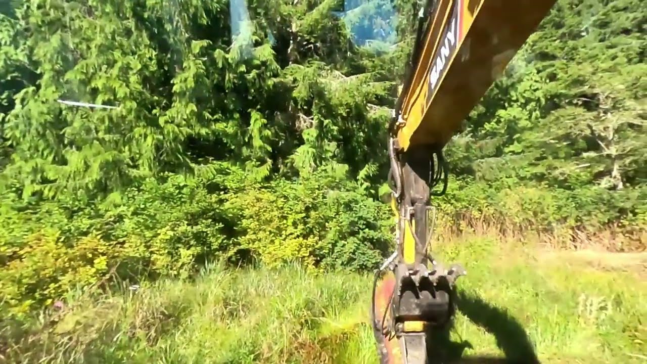 Forestry Mulching: Forks Washington