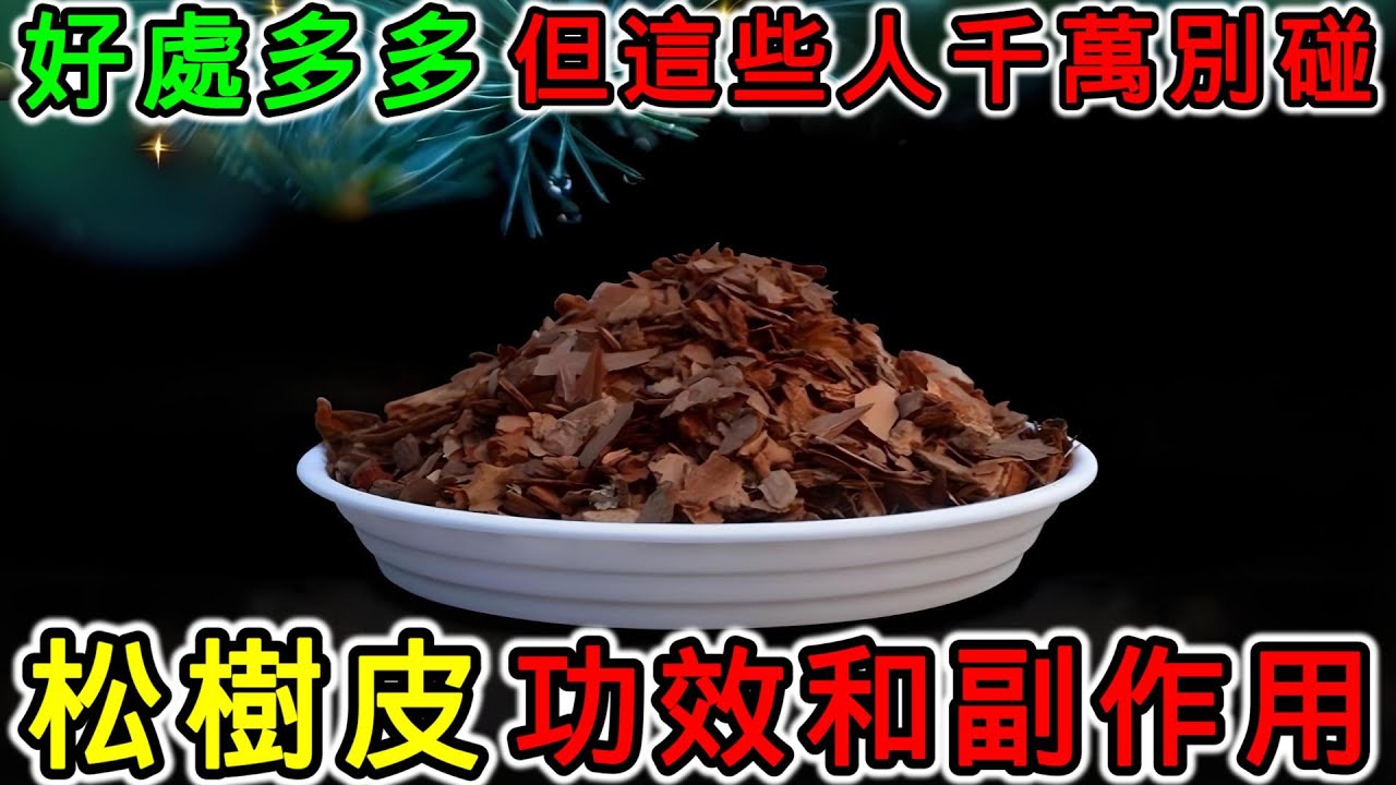 松樹皮是什麼？松樹皮的功效，松樹皮的副作用，松樹皮有毒嗎？松樹皮有什麼禁忌？松樹皮什麼時候吃最好？哪些人不能用松樹皮？松樹皮不能和什麼一起用？