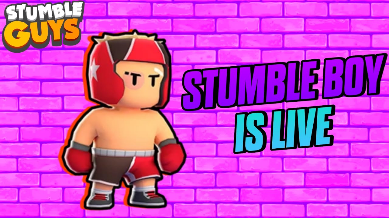 Stumble Boy Is Live || I Am The Best Player In Stumble Guys 🔥