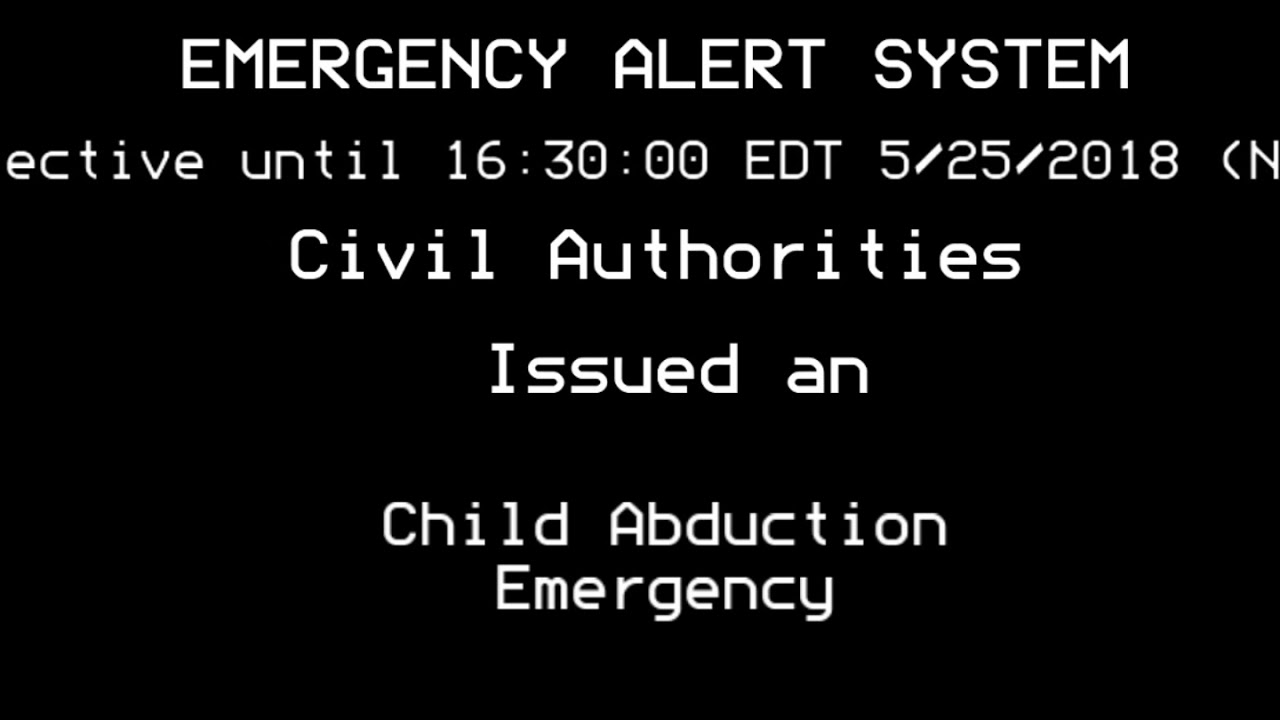 ***VALID TONES***MOCK EAS Alert: New York State AMBER Alert