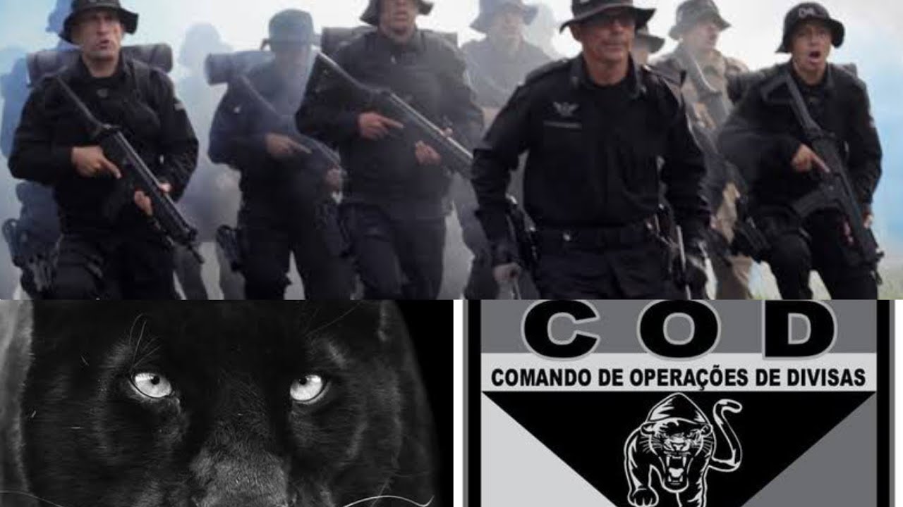 TFM - On&ccedil;a Preta - COD - vibra&ccedil;&atilde;o do comando de opera&ccedil;&atilde;o de divisa - status - PM - Militar