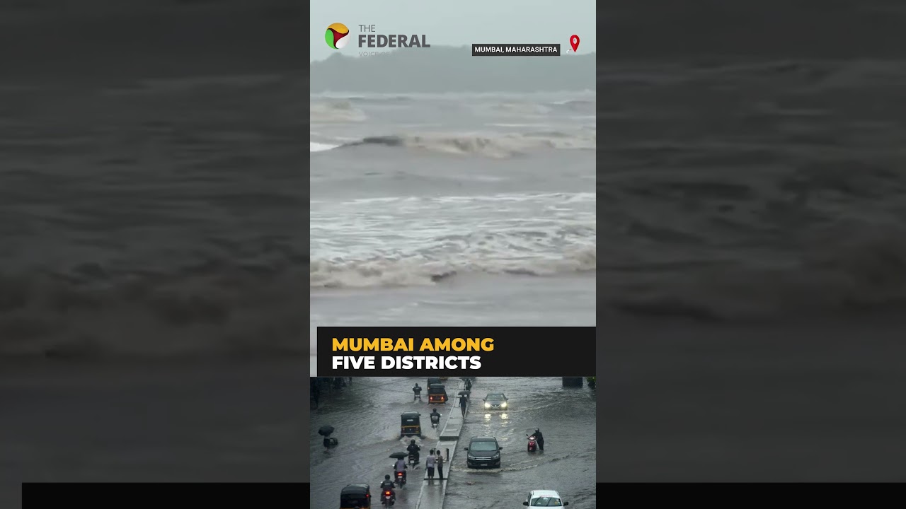 IMD issues orange alert for Mumbai and four Maharashtra districts | #shorts