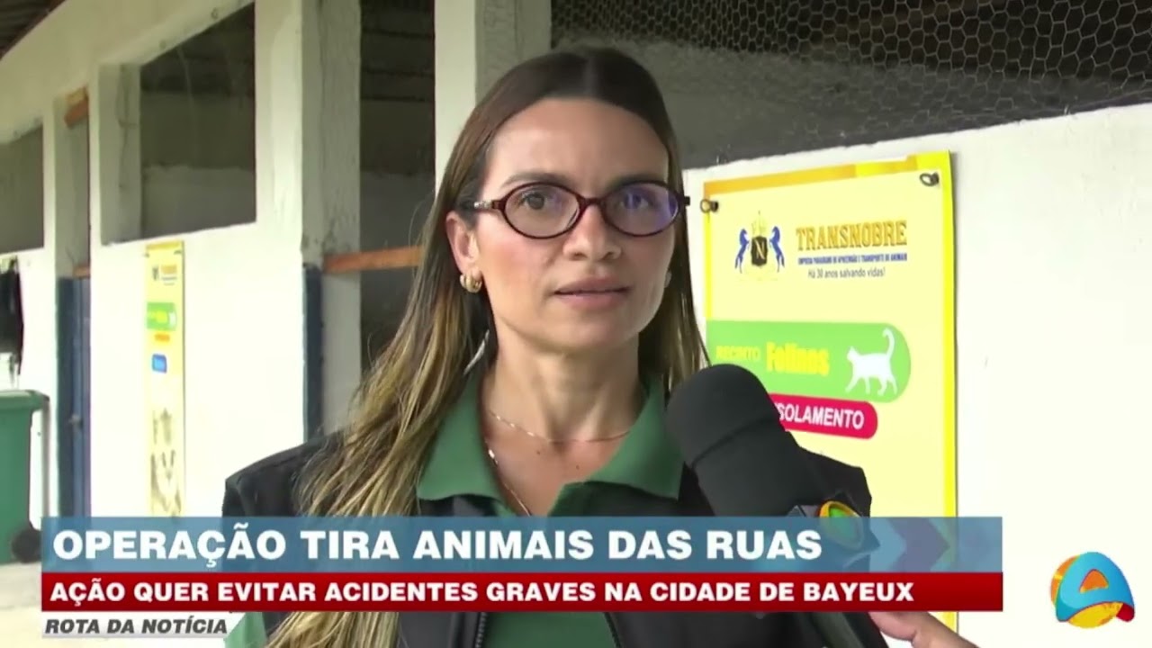 Rota da notícia - Animais são retirados das ruas em operação de segurança viária na Bayuex