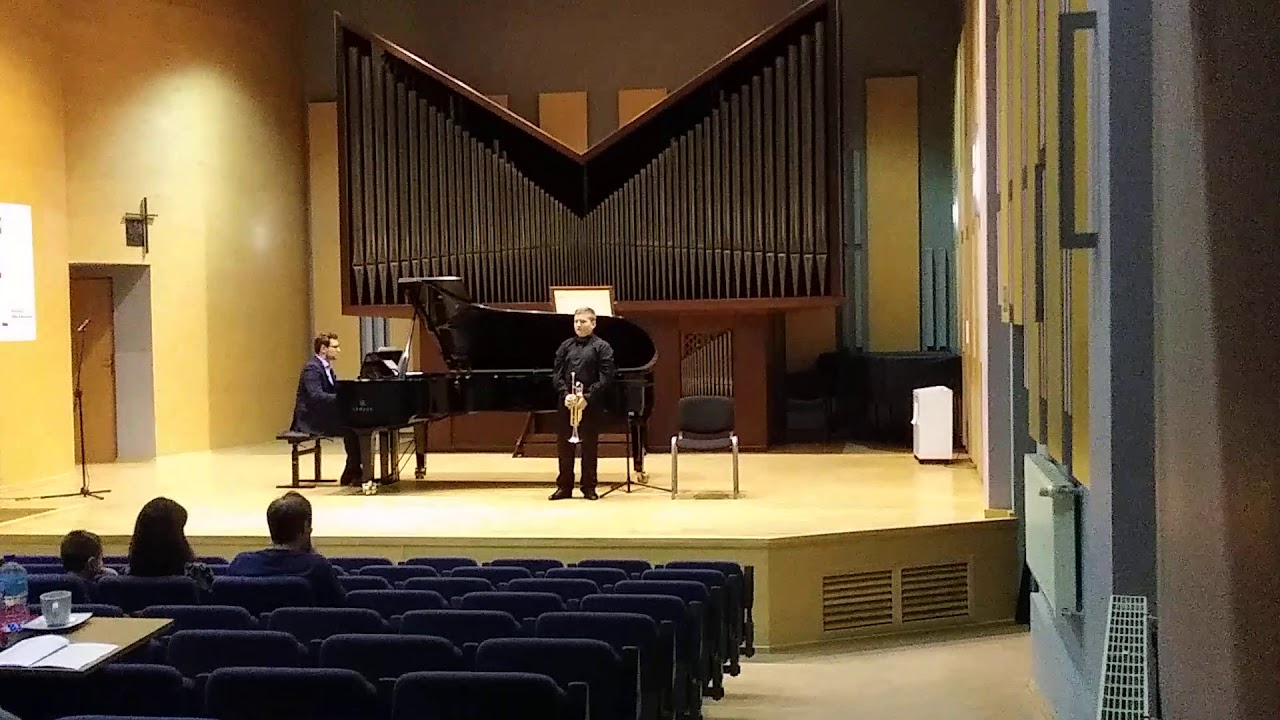 Concerto - Zh.Metallidi