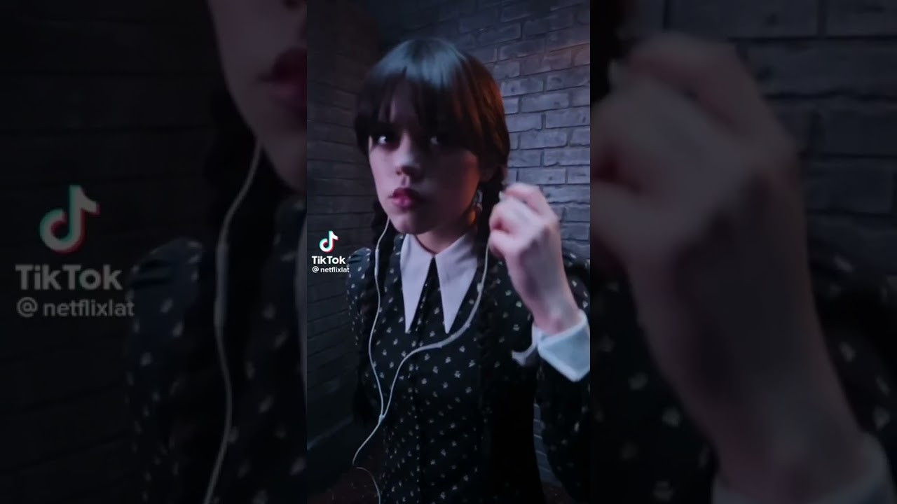 Una gatita que le gusta el mambo