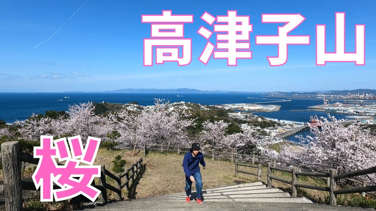 【和歌山市】桜と海の絶景里山♪高津子山♪