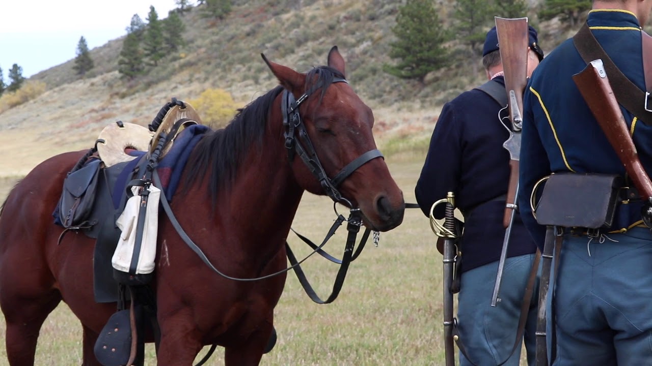Linking Horses Together