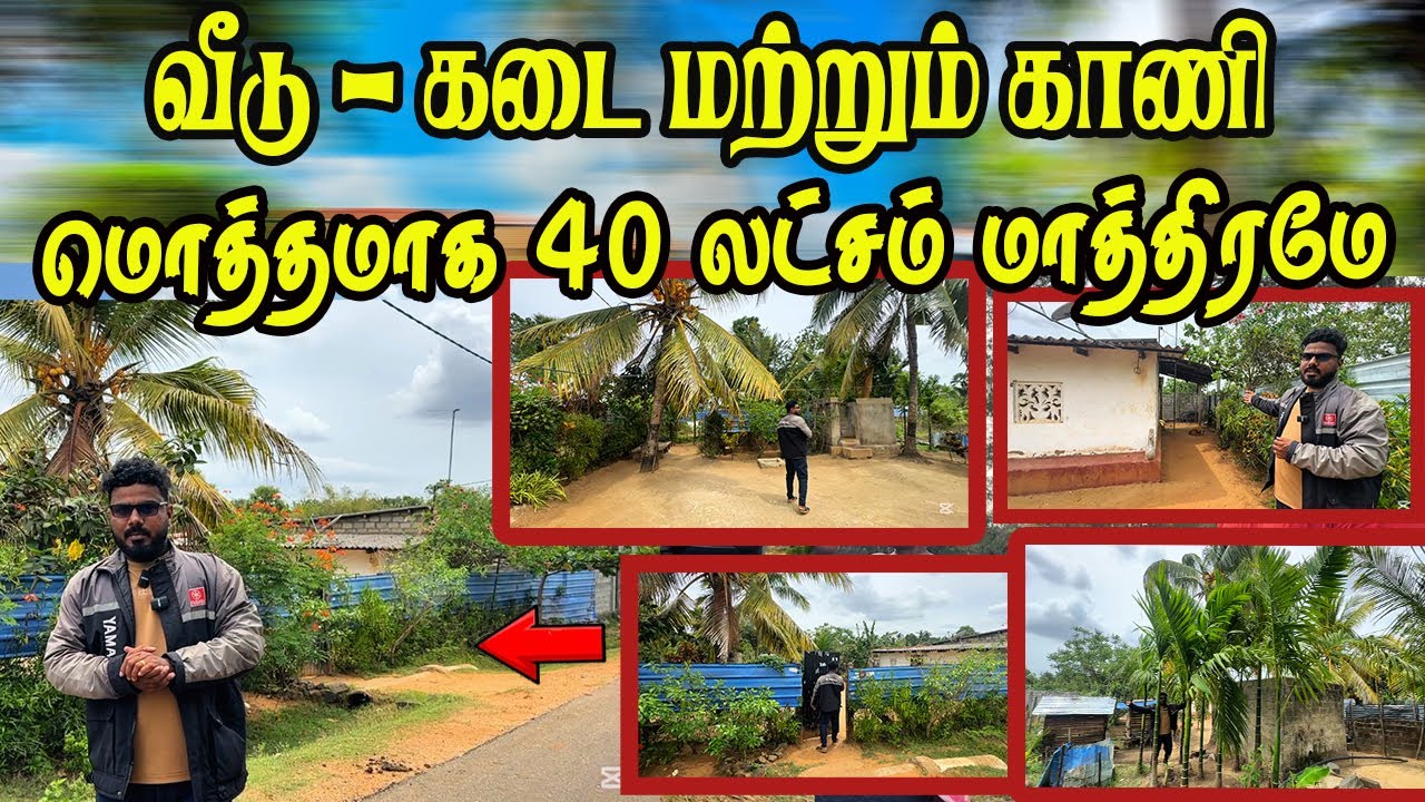 தார் வீதி முகப்போடு மலிவு விலையில் வீட்டுடன் காணி விற்பனைக்கு #landsale #vavuniya #jaffna #homesale
