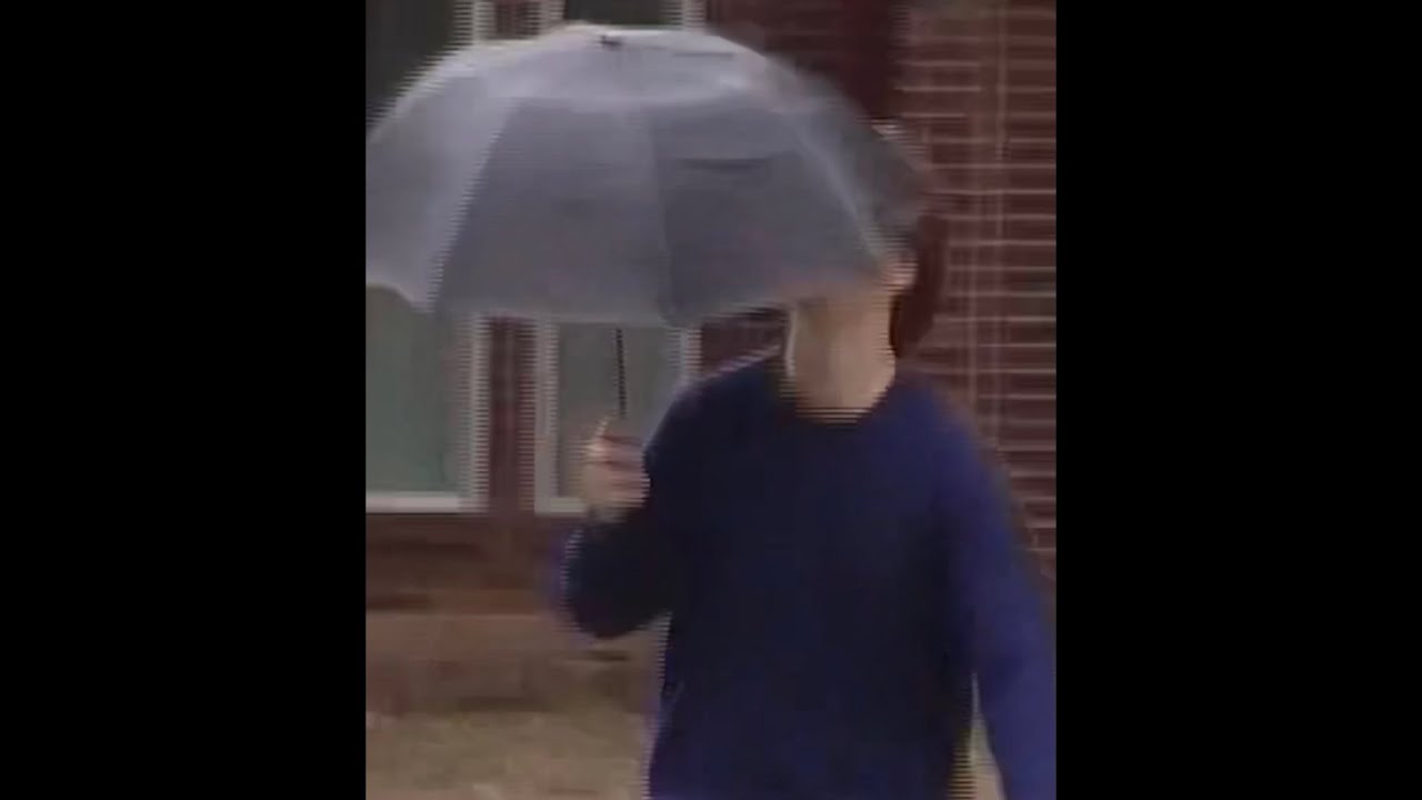 dyl dion - under your weather (official visualizer)