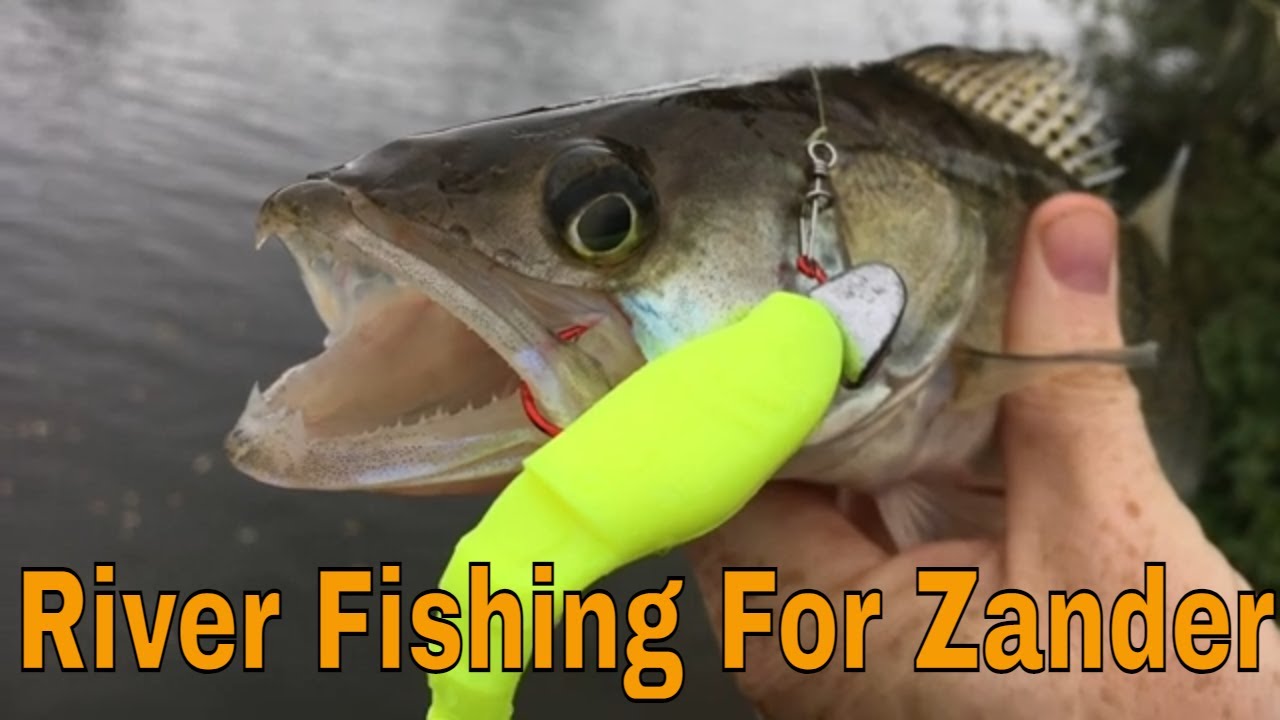 River fishing for Zander.