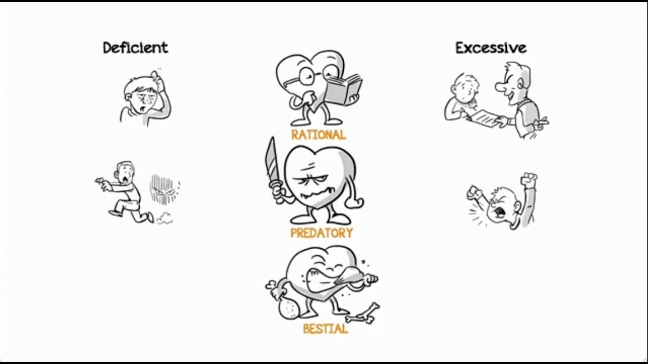 Советы имама аль-Газали по дисциплинированию души