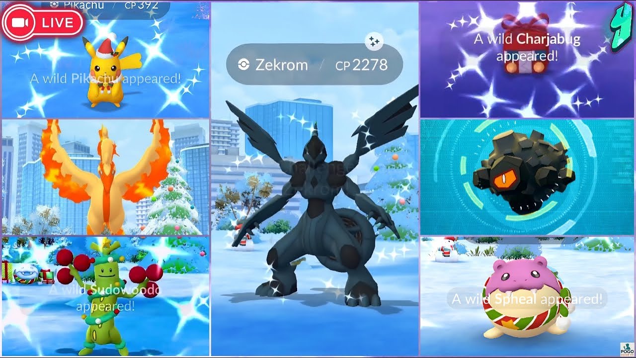 LIVE | #4 Winter Holiday Event Part-II | Hunting ✨️ Costume Mons | Zekrom Raids | PvP | Pokémon Go