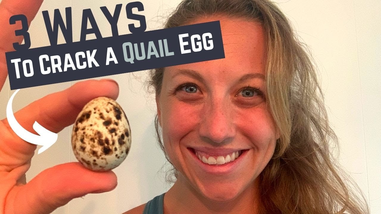 How to Crack a Quail Egg