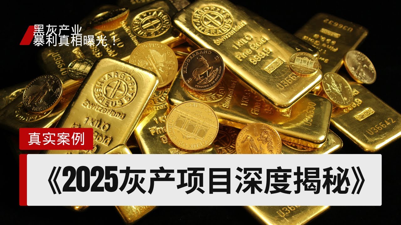 2025年灰产项目深度揭秘｜黑灰产业真实暴利赚钱方式曝光，新手也能看懂的灰产赚钱思路！（做灰产的东叔）