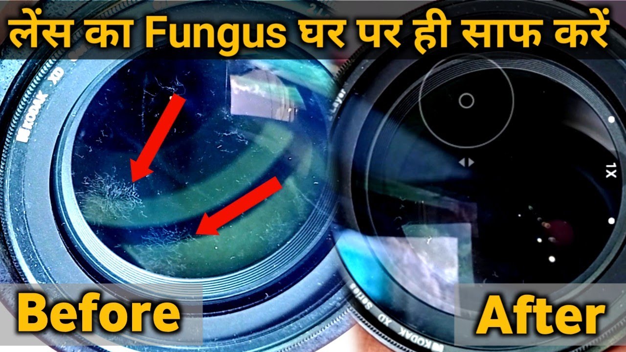 how to clean lens fungus at home | Clean Fungus Nikon 18-105mm F3.5-5.6G @camerasettingsCk