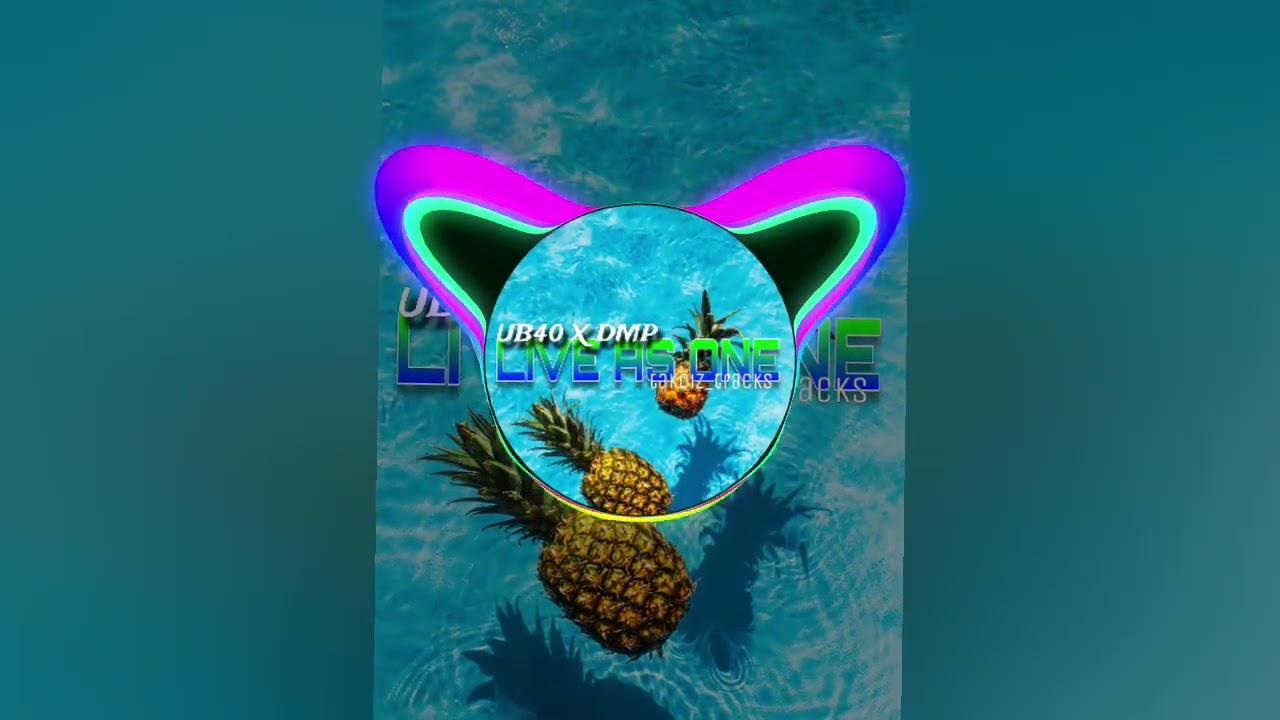 DMP X UB40 live as One Mashup