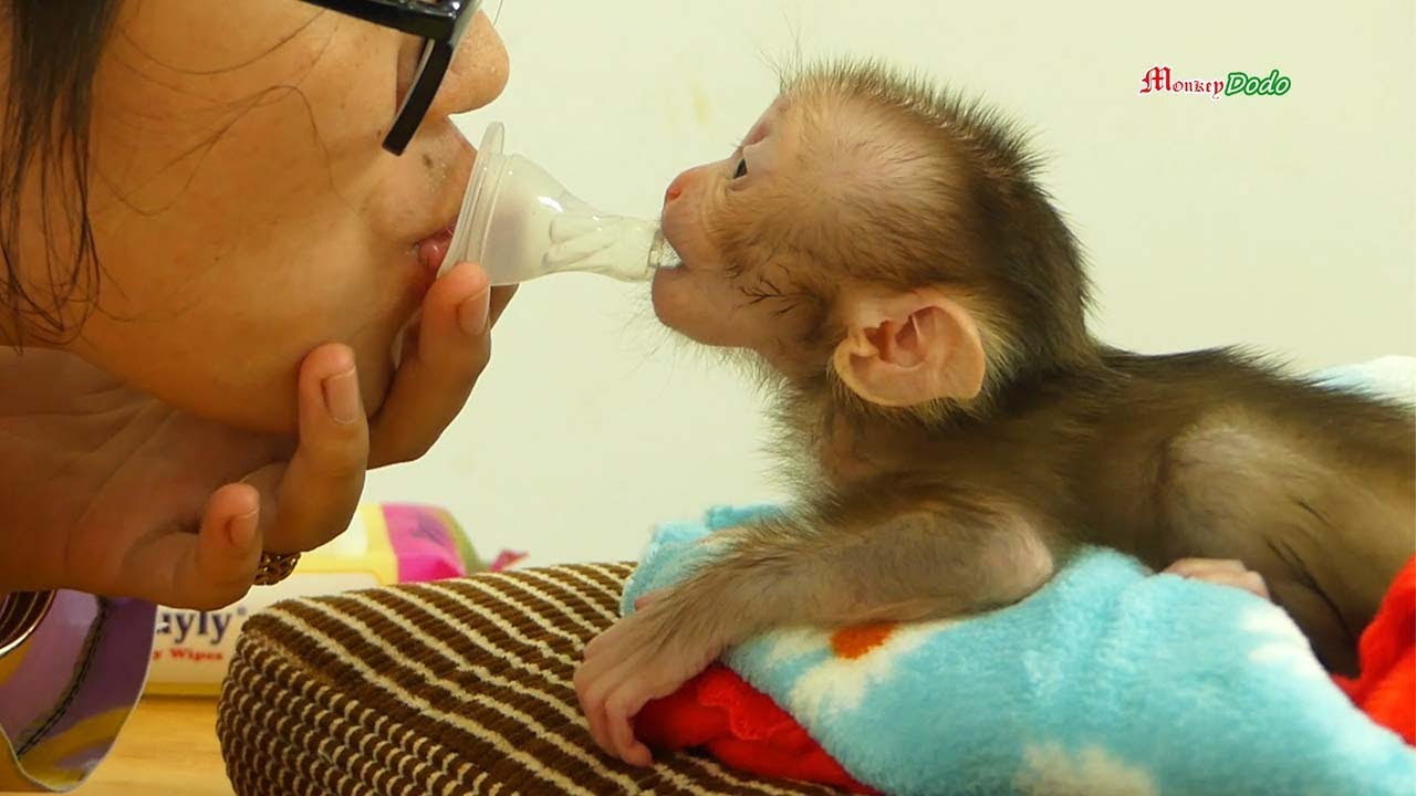 Newborn Shusy Hungry She Try To Shucking Pacifier From Mom