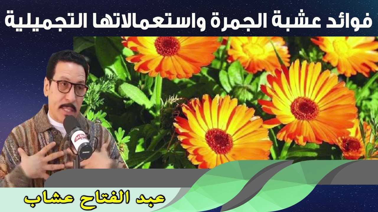 فوائد عشبة الجمرة واستعمالاتها التجميلية 09/05/023  عبد الفتاح عشاب