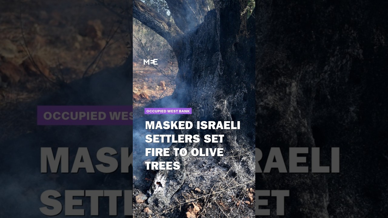 Israeli settlers attack Palestinian olive farmers