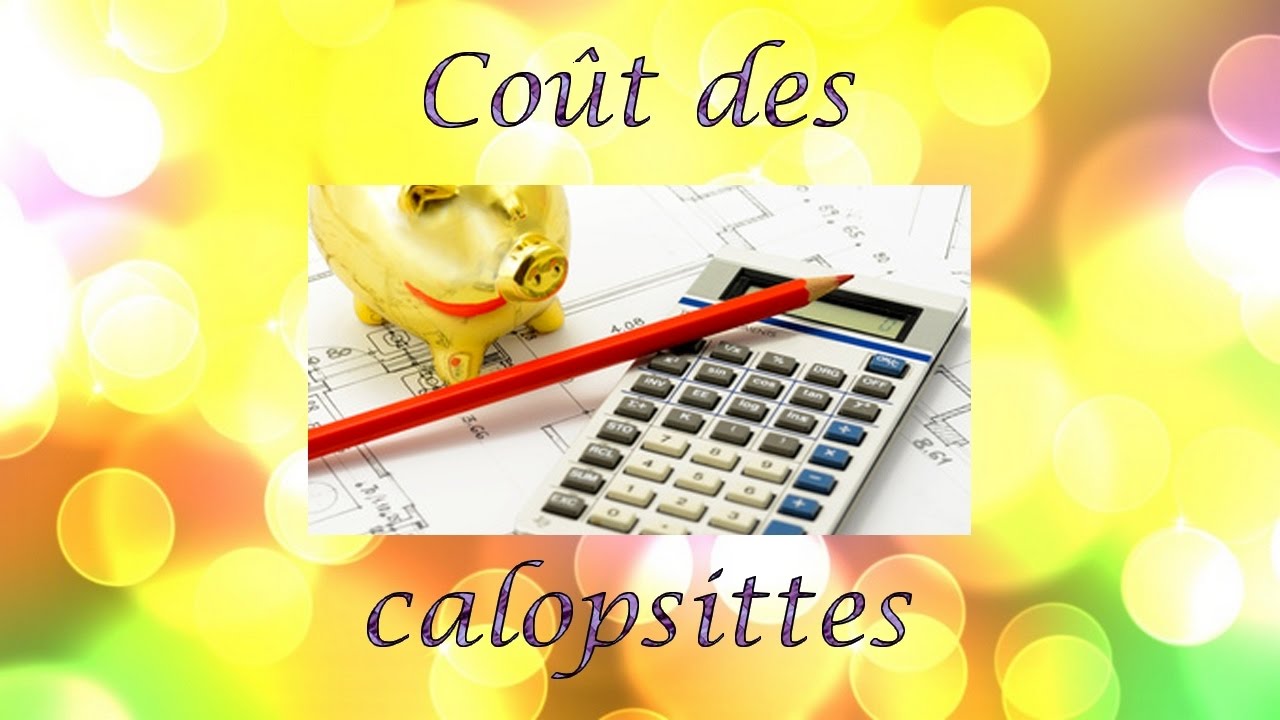 [Conseils] COÛT DES CALOPSITTES | Mensuel ? Annuel ? Occasionnel ?