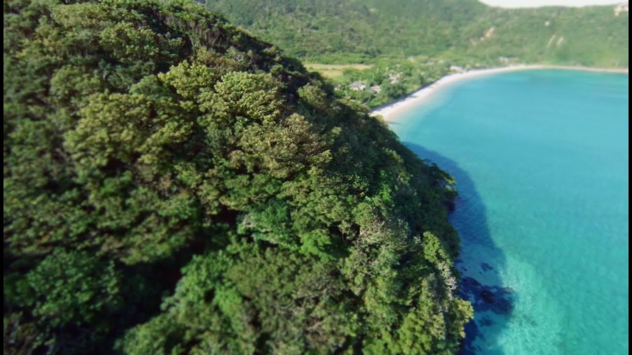 AMAMI ISLANDS