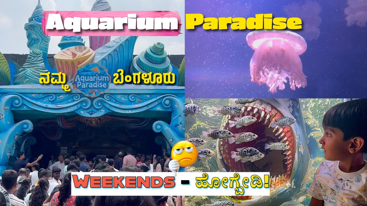 Aquarium Paradise Bengaluru 🐠 | Weekends ಮಾತ್ರ ಹೋಗ್ಲೇಬೇಡಿ 🙅🏻‍♂️ | Fun World Bangalore