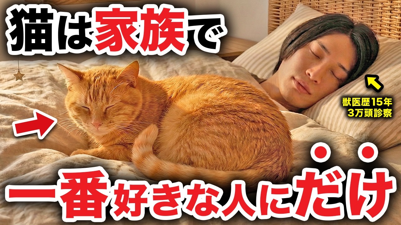 【家族で誰が一番？】猫が「選んだ人」にだけする行動10選