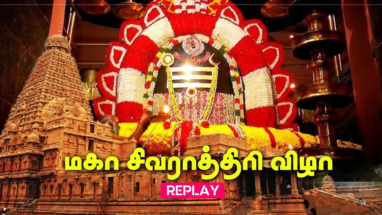 அருள்மிகு பிரகதீஸ்வரர் ஆலயம் மகா சிவராத்திரி 2026 திருவிழா – முழு நிகழ்ச்சி மறுஒளிபரப்பு