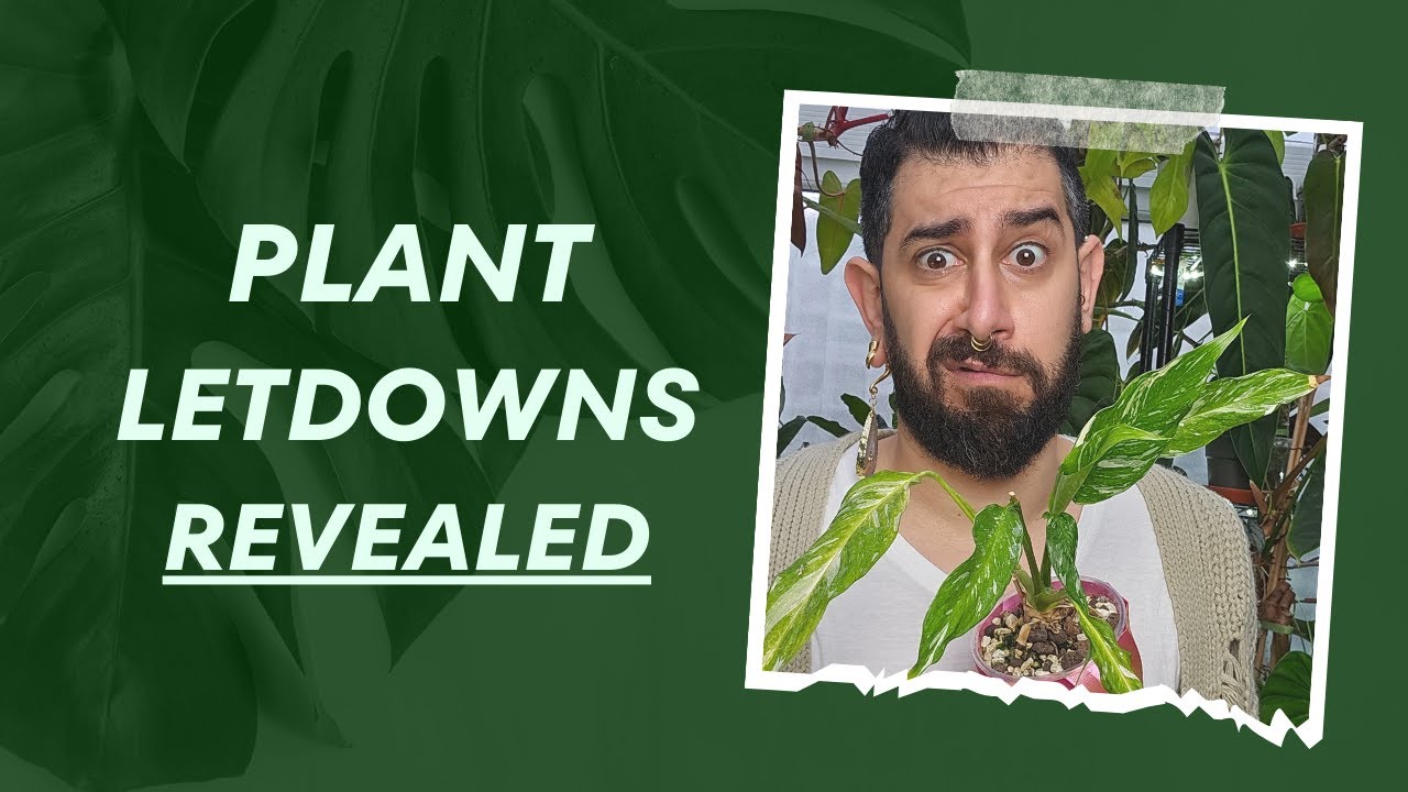 Not Worth It! Top 10 🚫🌿 | Houseplants I Wouldn't Recommend! 🙅‍♂️🌱