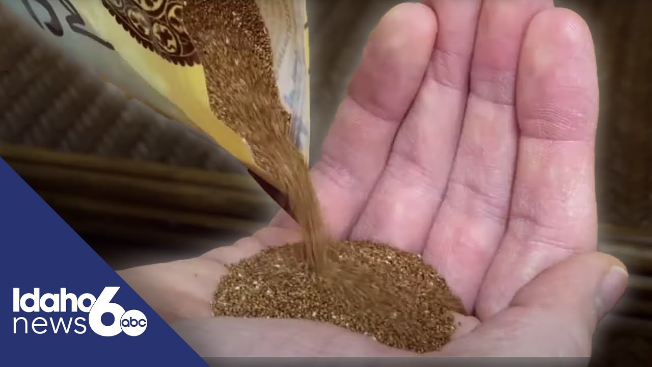Worlds smallest grains puts Boise company on the map