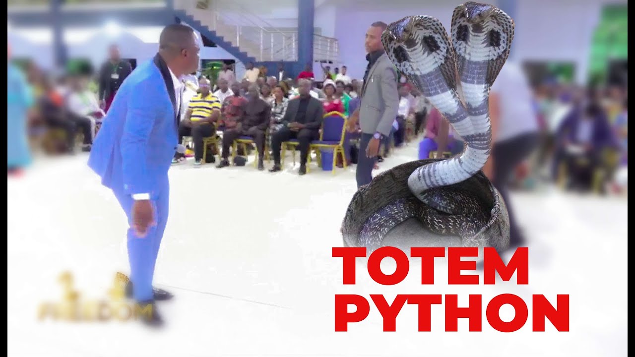 PYTHON EXPOSÉ ! DÉLIVRANCE II AUTO AUTO