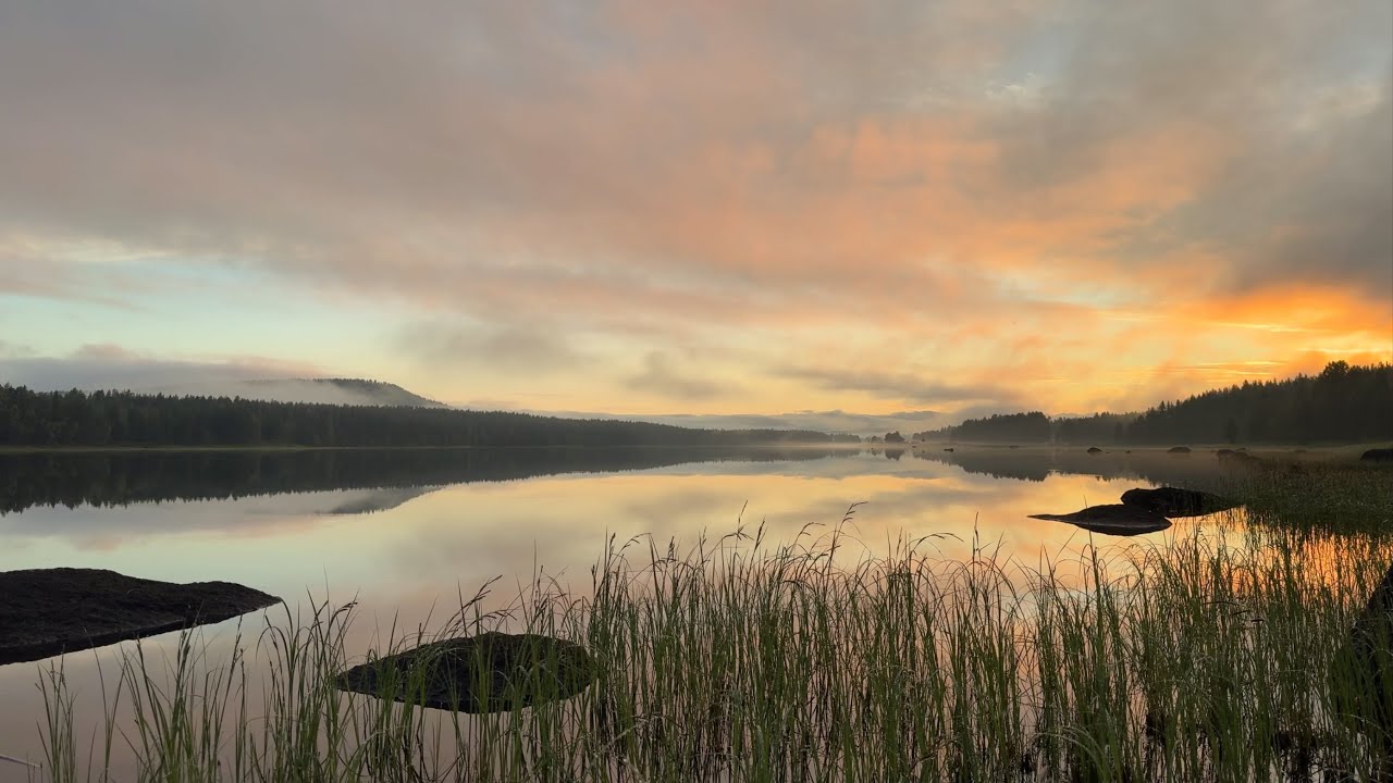 Relaxing Nature Ambience | Northern Sweden 4K