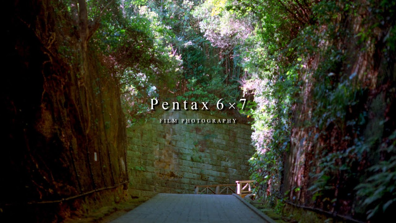 【Pentax67】フィルムカメラで撮る無人島【Kodak GOLD 200】