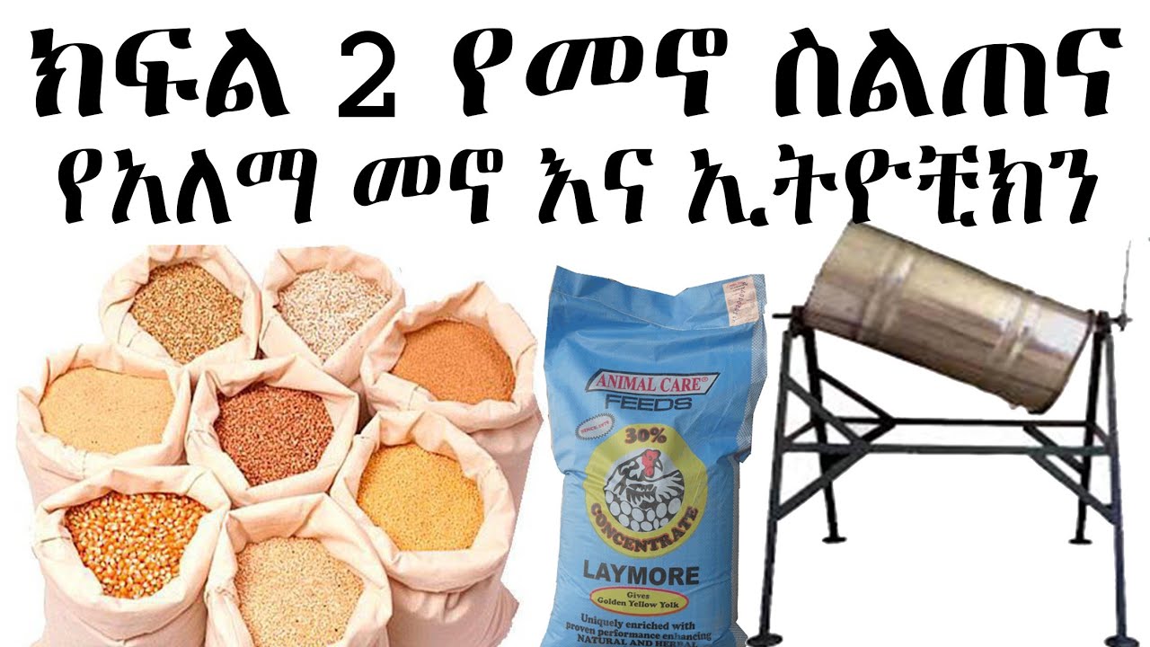 የመኖ ስልጠና