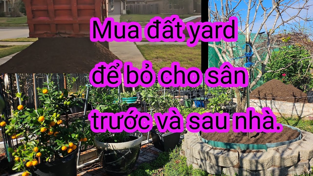 #639:Trồng thêm rau mùa đông và chuẩn bị đất cho mùa xuân tới. 