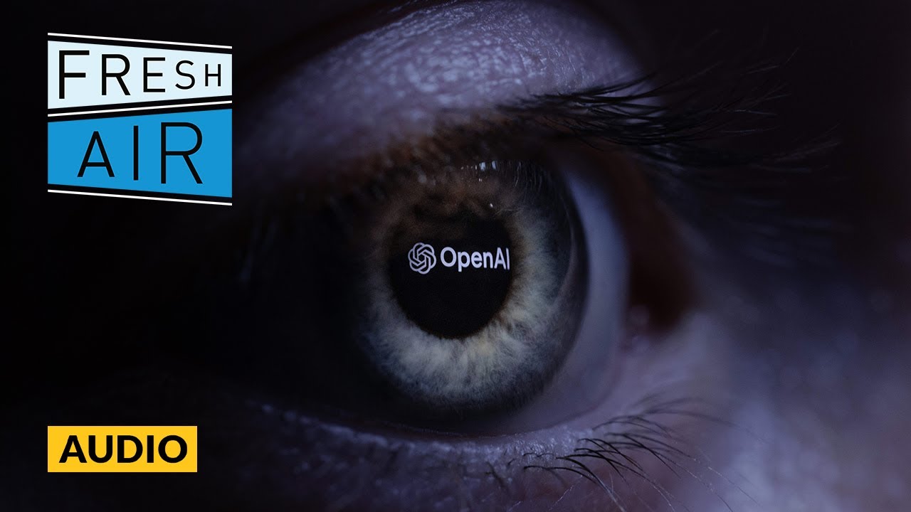 Flawed chatbot or threat to society? Both? We explore the risks and benefits of AI | Fresh Air